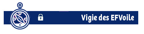 lien page vigie EFVOILE